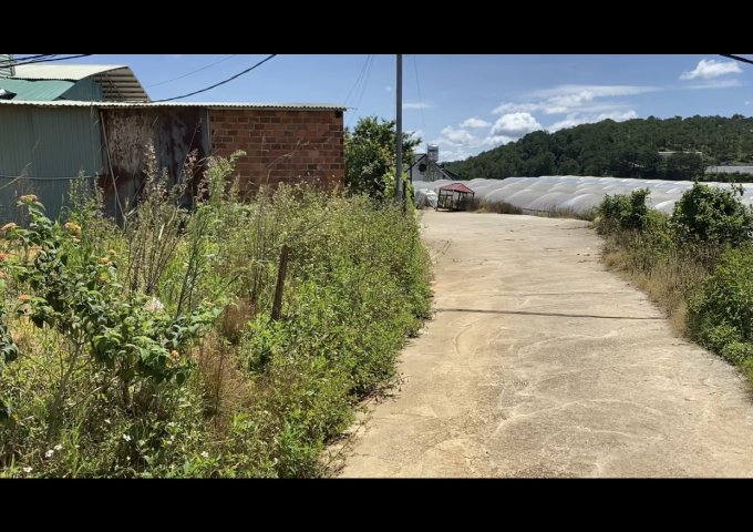 Cần bán lô đất 864 ở đường Huỳnh Tấn Phát, Phường 11, Đà Lạt, Lâm Đồng.