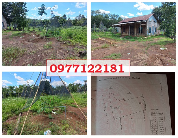 Chính chủ cần bán nhanh lô đất đẹp tại huyện Bù Gia Mập, Bình Phước; 4 tỷ; 0977122181
