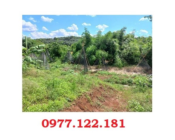 Chính chủ cần bán nhanh lô đất đẹp tại huyện Bù Gia Mập, Bình Phước; 4 tỷ; 0977122181