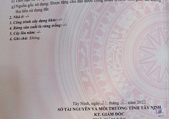 CẦN BÁN 50.000M2 ĐẤT VƯỜN CAO SU TRỒNG 2016, CHUẨN BỊ KHAI THÁC MỦ NĂM 2023 TẠI TÂN CHÂU, TÂY NINH.