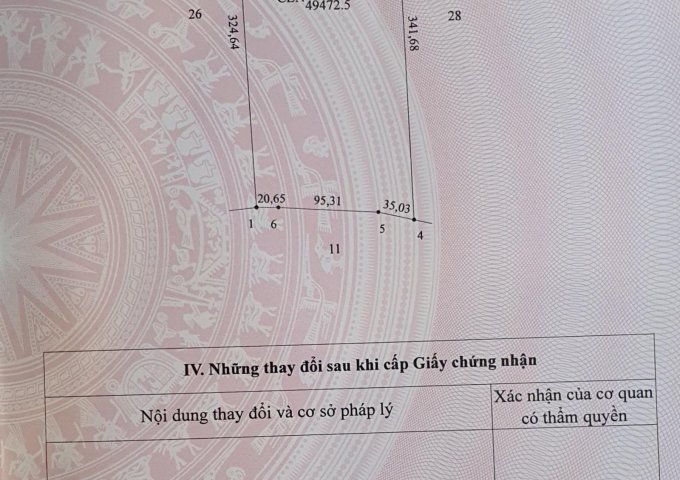 CẦN BÁN 50.000M2 ĐẤT VƯỜN CAO SU TRỒNG 2016, CHUẨN BỊ KHAI THÁC MỦ NĂM 2023 TẠI TÂN CHÂU, TÂY NINH.