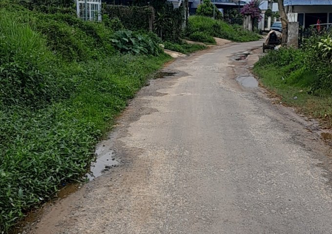 Chủ gửi bán đất tại Thôn 12, xã Lộc Thành, huyện Bảo Lâm, tỉnh Lâm Đồng