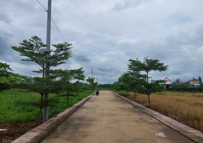 CHÍNH CHỦ BÁN ĐẤT ĐẸP NGAY KCN BÀU XÉO, TÂY HOÀ, TRẢNG BOM, ĐỒNG NAI.