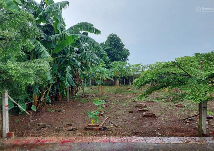 CHÍNH CHỦ BÁN ĐẤT ĐẸP NGAY KCN BÀU XÉO, TÂY HOÀ, TRẢNG BOM, ĐỒNG NAI.