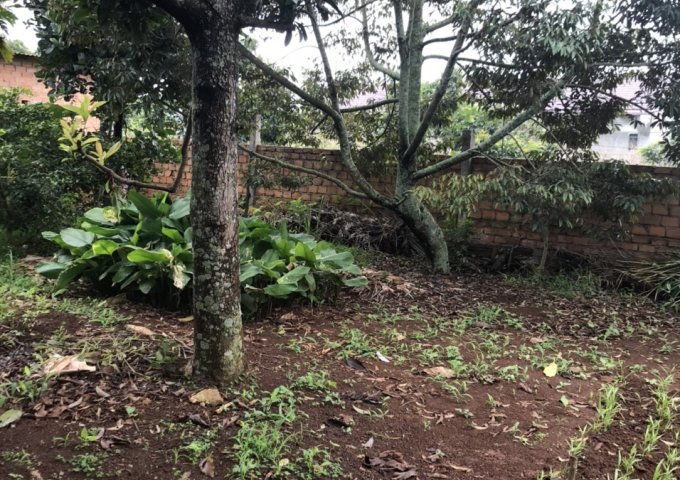 CHÍNH CHỦ CẦN BÁN HƠN 2 SÀO ĐẤT SAU LƯNG TRẠM Y TẾ XÃ LIÊN HIỆP, ĐỨC TRỌNG. LIÊN HỆ: 0917038853