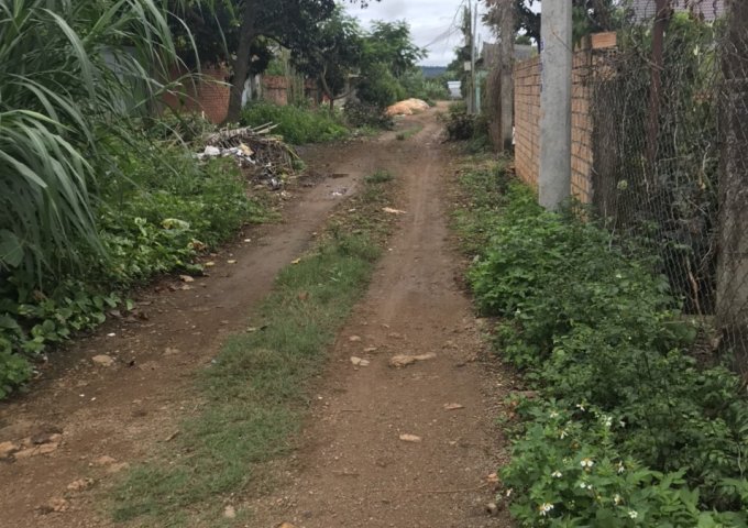 CHÍNH CHỦ CẦN BÁN HƠN 2 SÀO ĐẤT SAU LƯNG TRẠM Y TẾ XÃ LIÊN HIỆP, ĐỨC TRỌNG. LIÊN HỆ: 0917038853