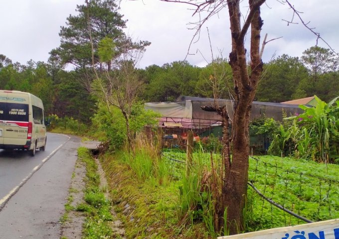 CHÍNH CHỦ CẦN BÁN ĐẤT ĐẠ NHIM – MẶT TIỀN ĐƯỜNG CHÍNH ĐÀ LẠT – NHA TRANG