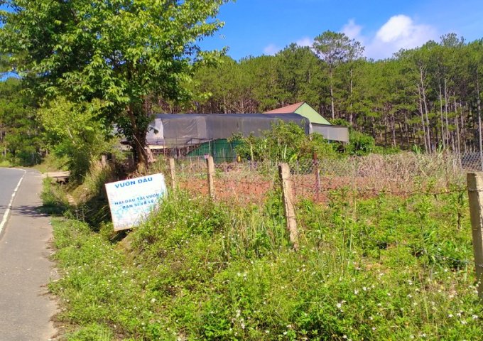 CHÍNH CHỦ CẦN BÁN ĐẤT ĐẠ NHIM – MẶT TIỀN ĐƯỜNG CHÍNH ĐÀ LẠT – NHA TRANG