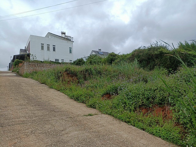 CHÍNH CHỦ BÁN ĐẤT XÂY DỰNG PHÂN QUYỀN - MAI XUÂN THƯỞNG, P8, ĐÀ LẠT, LÂM ĐỒNG