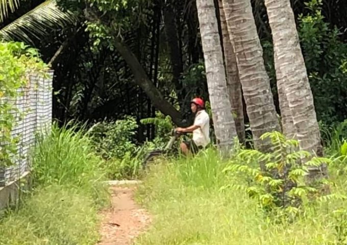 Cần bán 1 công đất vườn dừa vị trí đẹp tại Bến Tre