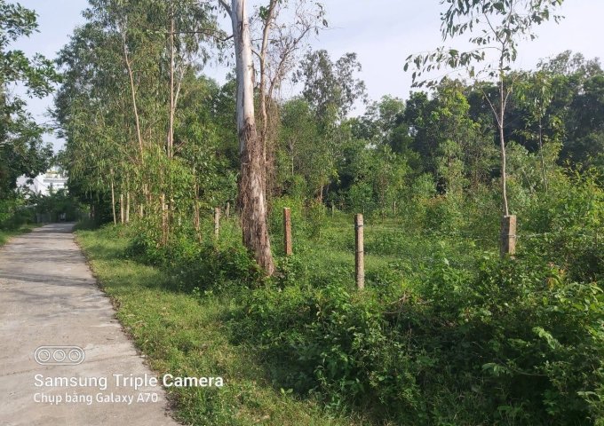 Chính chủ cần bán lô đất 464m2 Hòa Quảng Bắc,Phú Hòa,Phú yên