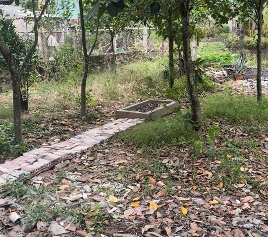 CHÍNH CHỦ BÁN LÔ ĐẤT THỔ CƯ CÓ SẴN NHÀ CẤP 4 TẠI ĐÔNG DƯƠNG, ĐÔNG HƯNG, THÁI BÌNH.