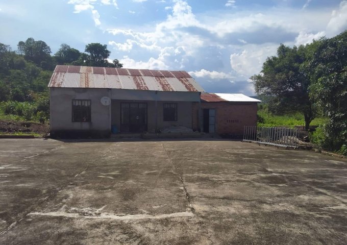 CHÍNH CHỦ BÁN VƯỜN NHÀ TẠI TÂN PHÚ 2, XÃ ĐINH LẠC, DI LINH, LÂM ĐỒNG.