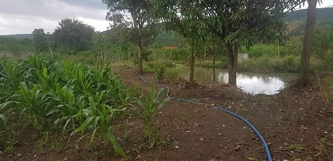 CHÍNH CHỦ BÁN VƯỜN NHÀ TẠI TÂN PHÚ 2, XÃ ĐINH LẠC, DI LINH, LÂM ĐỒNG.