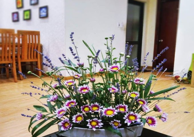 Bán chung cư OCT1 B - Resco - Cổ Nhuế