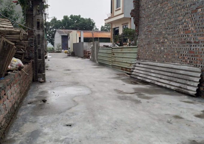 Chính chủ bán đất Đình Trung, Xuân Nộn, Đông Anh, Hà Nội.