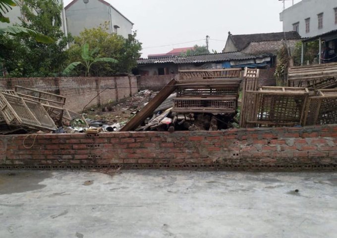 Chính chủ bán đất Đình Trung, Xuân Nộn, Đông Anh, Hà Nội.