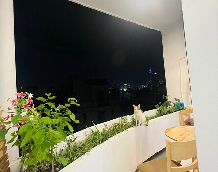 Cho thuê căn hộ dịch vụ full nội thất tại 3A Phan Bội Châu, Quận Bình Thạnh