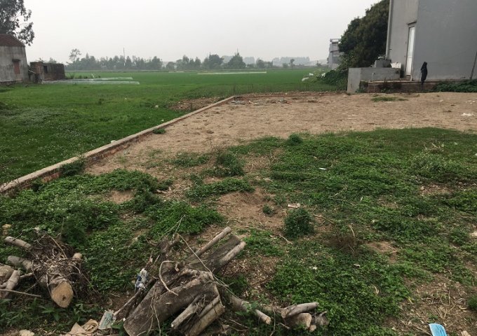 Bán lô đất đẹp thổ cư tại QL.17, Xã Cao Đức, Huyện Gia Bình, Bắc Ninh.