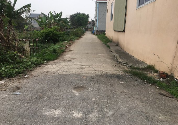 Bán lô đất đẹp thổ cư tại QL.17, Xã Cao Đức, Huyện Gia Bình, Bắc Ninh.