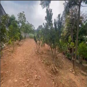 Chính chủ bán gấp mảnh đất Thôn Bơn - Vân Hoà - Ba Vì - Hà Nội