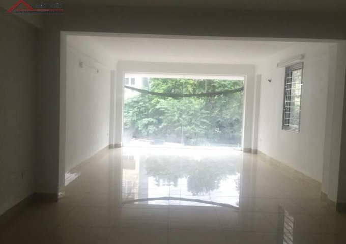 CHO THUÊ NHÀ MP TRUNG PHỤNG - ĐỐNG ĐA