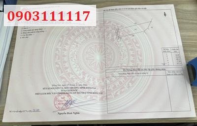 💥Bán 1 sào đất vườn SHR đang trồng xoài cát, xe hơi tới đất tại Định Quán, Đồng Nai, 690tr; 0903111117