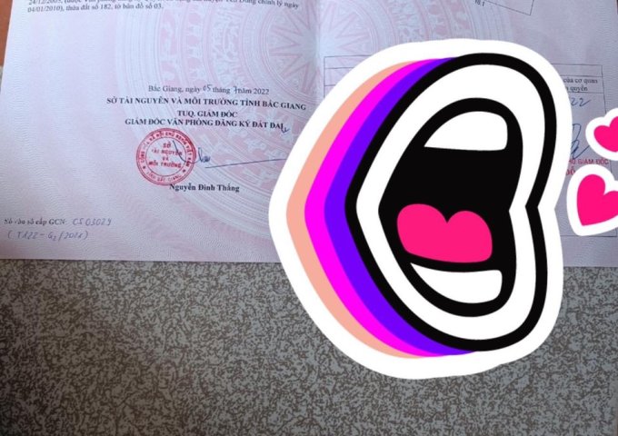 Chính chủ cần bán đất thôn Nội, xã Nội Hoàng, huyện Yên Dũng, Bắc Giang