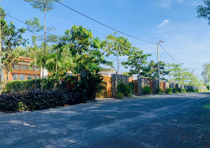 BÁN ĐẤT VƯỜN CÓ THỔ CƯ TẠI XÃ LỘC AN, ĐẤT ĐỎ, BRVT