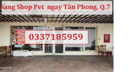 ⭐️Sang Shop Pet  ngay Tân Phong, Quận 7, HCM; 0337185959