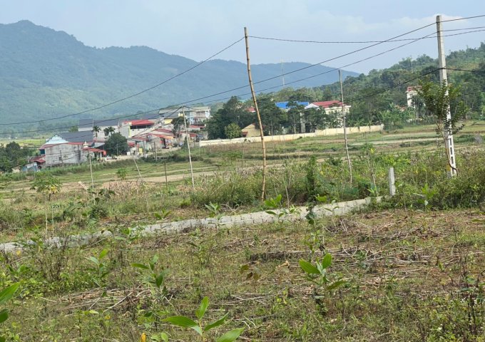 CHÍNH CHỦ BÁN LÔ ĐẤT MỸ TÂN - NGỌC LẶC - THANH HÓA