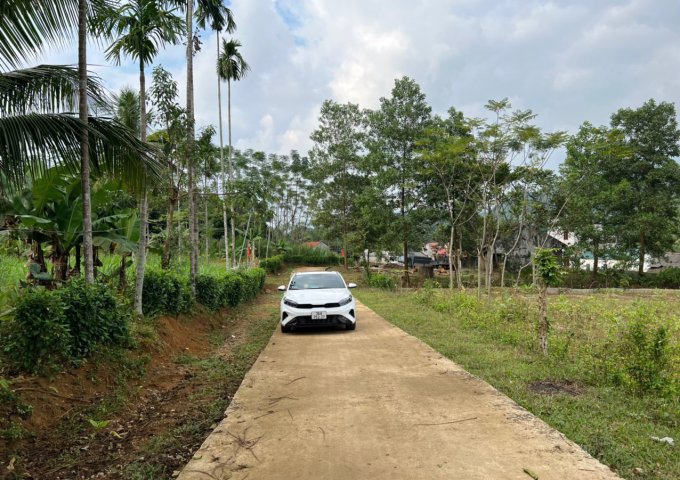 CHÍNH CHỦ BÁN LÔ ĐẤT MỸ TÂN - NGỌC LẶC - THANH HÓA