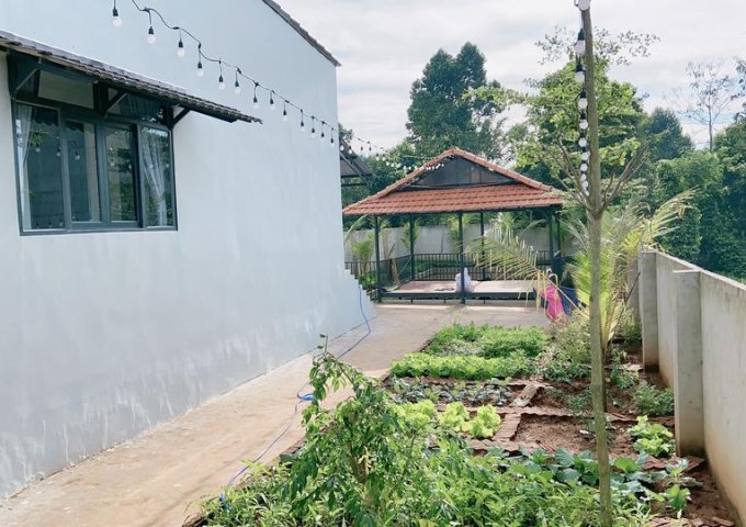 Bán nhà vườn mới 100% Xã Ea Kao, Thành phố Buôn Ma Thuột, Đắk Lắk