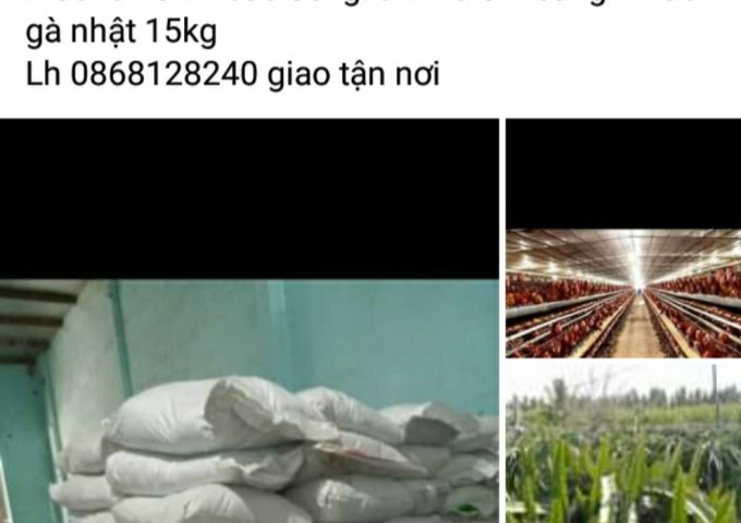 Chuyên phân phối Phân gà hữu cơ vi sinh thích hợp sử dụng cho cây trồng đặc biệt cho thanh long nuôi mầm và nuôi trái tại Xã hàm kiệm, huyện hàm Thuận Nam, tỉnh Bình Thuận.