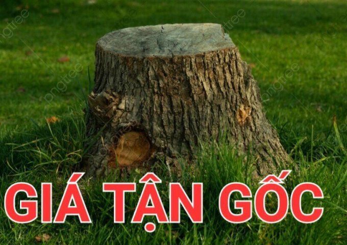 BÁN ĐẤT GẦN BẾN XE YÊN NGHĨA, RẺ NHẤT HN, 38m2, Gần trường Cấp 1,2 Gía chỉ 1,3 tỉ