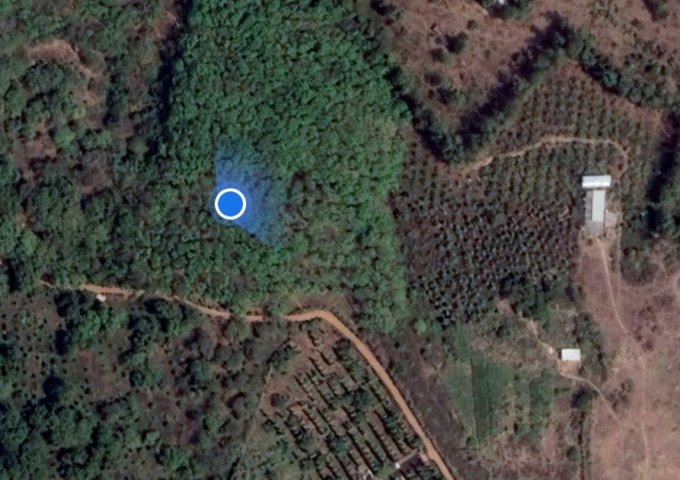 Hiện tôi cần bán gấp lô đất cách Quốc Lộ 20 khoảng 1km vị trí xã Túc Trưng, Định Quán, Đồng Nai.  