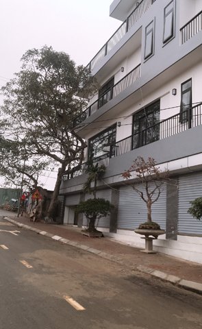 Chính chủ cần cho thuê nhà tầng 1 tại số 1 đường Đan Hoài, Liên Trung - Liên Hà, Đan Phượng, Hà Nội.