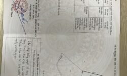 Chính chủ đang cần bán khu đất rộng tại Phước Vinh,Ninh Phước,Ninh Thuận