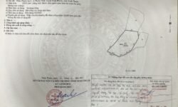 Chính chủ đang cần bán khu đất rộng tại Phước Vinh,Ninh Phước,Ninh Thuận