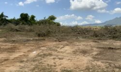 Chính chủ đang cần bán khu đất rộng tại Phước Vinh,Ninh Phước,Ninh Thuận