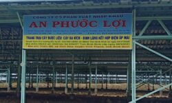 Cần bán điện áp mái 4,5mwp Vĩnh Hoà , Vĩnh Thạnh , Bình Định