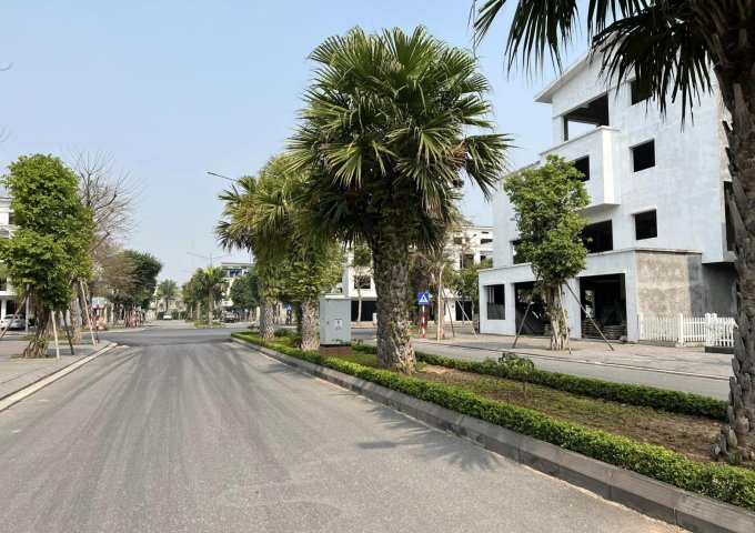 Bán biệt thự Vườn Đào Ecopark TP Hải Dương, 432m2, mt 25.6m, 3 tầng, đường đôi 23, giá tốt