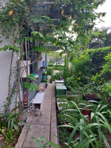 Cần Bán CHUNG CƯ EMERALD CELADON CITY Q TÂN PHÚ