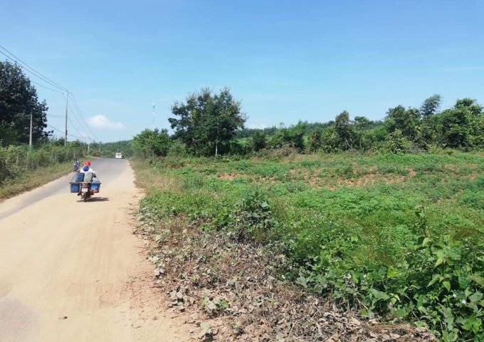 Bán 1,5ha đất rẫy mặt tiền đường nhựa tại Xã Đắk Ngọk, Đăk Hà, Kon Tum