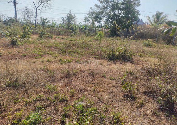 Bán đất 2 mặt tiền Xã Cư ÊBur, Thành phố Buôn Ma Thuột, Đắk Lắk