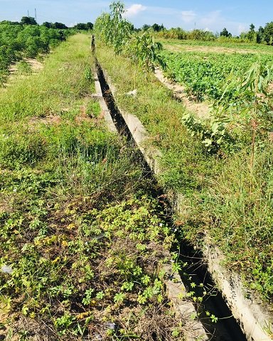 Chính chủ bán 11150,5m2 đất Thôn Tân Hòa, Xã Sông Bình, Huyện Bắc Bình, Tỉnh Bình Thuận.