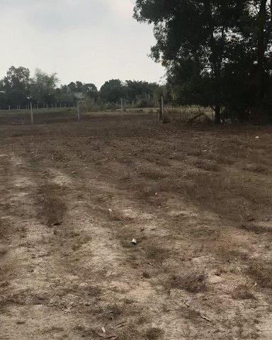 Chính Chủ Cần Bán Đất Vị Trí Đẹp Tại Đường Lộc Thạnh 9 - Xã Lộc Giang - Đức Hòa