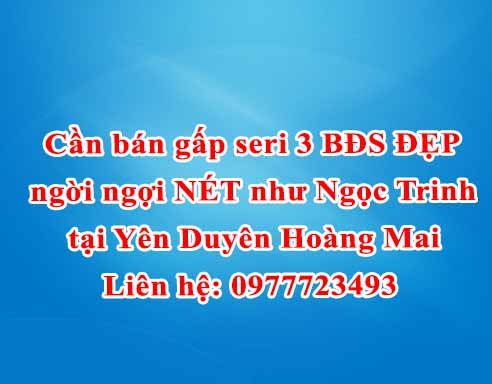 Cần bán gấp seri 3 BĐS ĐẸP ngời ngợi NÉT như Ngọc Trinh tại Yên Duyên, Hoàng Mai