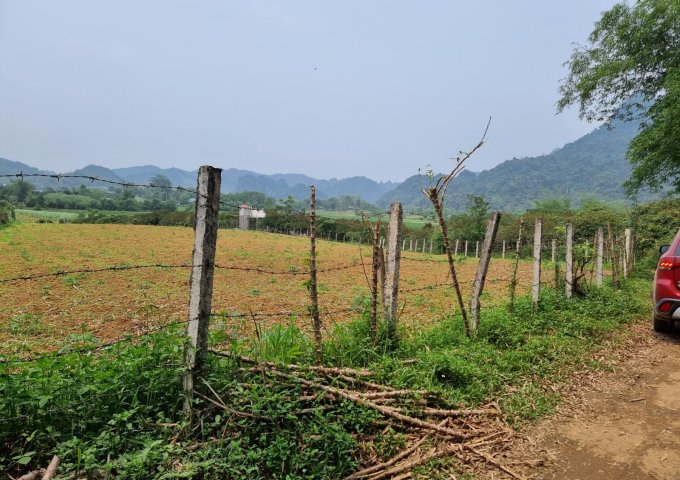 Chính chủ cần bán đất tại Mỹ Hoà - Tân Lạc - Hoà Bình