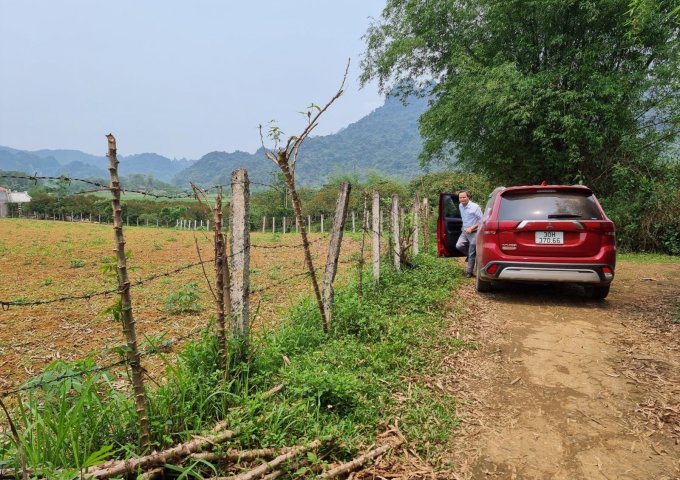 Chính chủ cần bán đất tại Mỹ Hoà - Tân Lạc - Hoà Bình